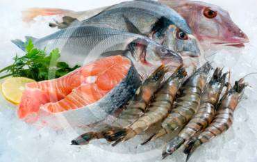 About Us - Indonesia Seafood Supplier