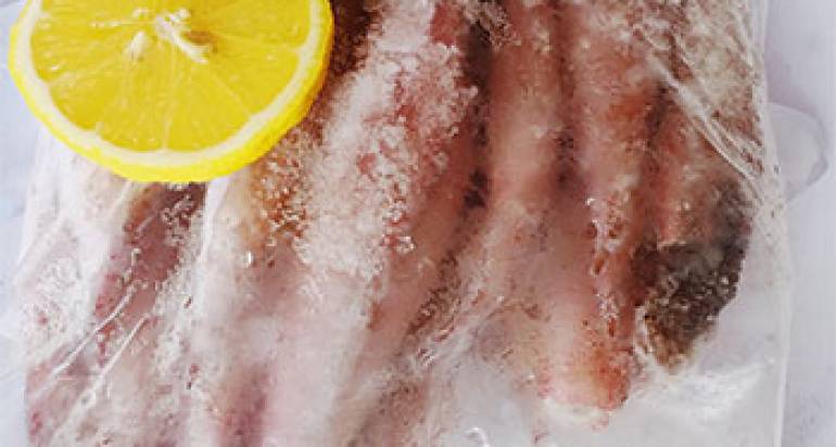 4 Key Factors To Determine The Quality Of The Frozen Squid